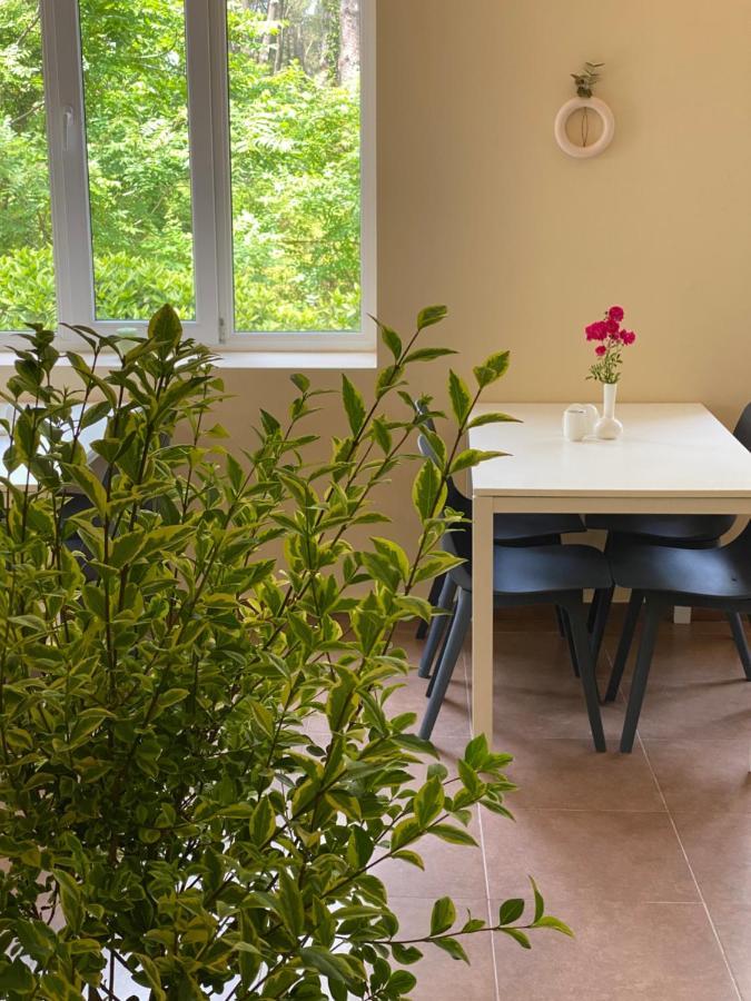Buxus Hotel Shekvetili Buitenkant foto