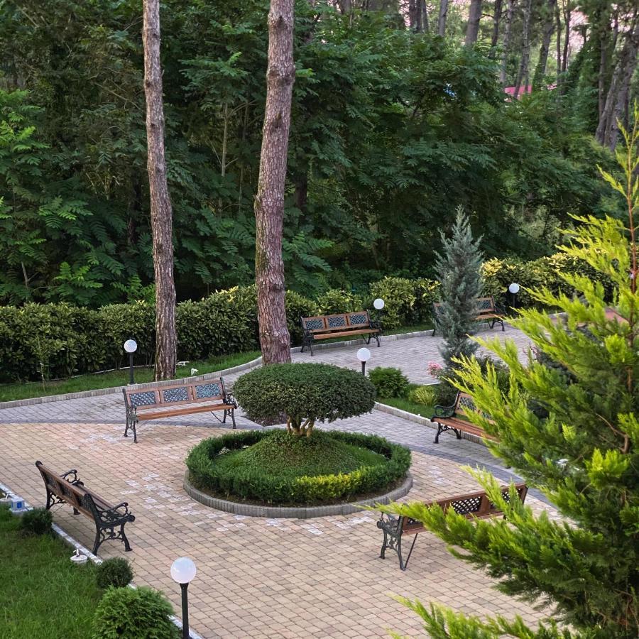 Buxus Hotel Shekvetili Buitenkant foto