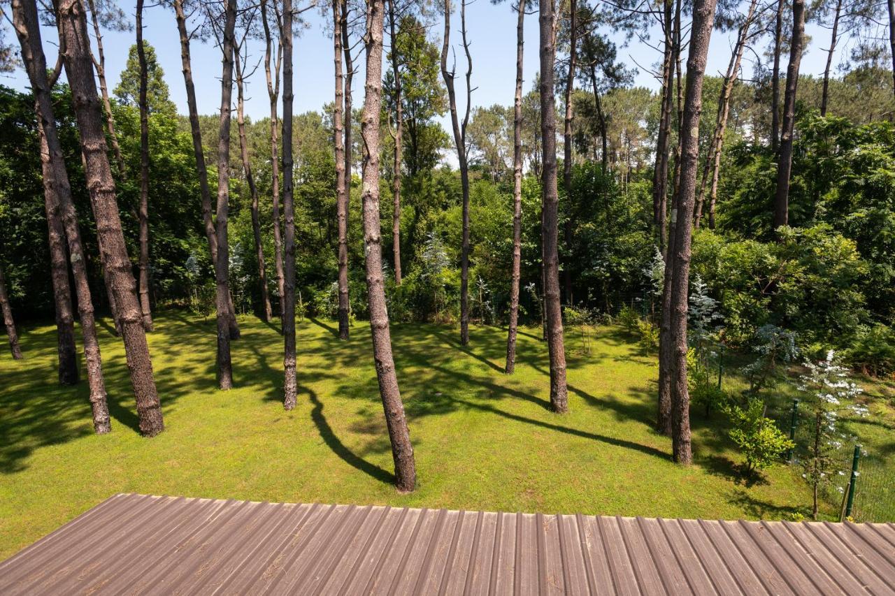 Buxus Hotel Shekvetili Buitenkant foto