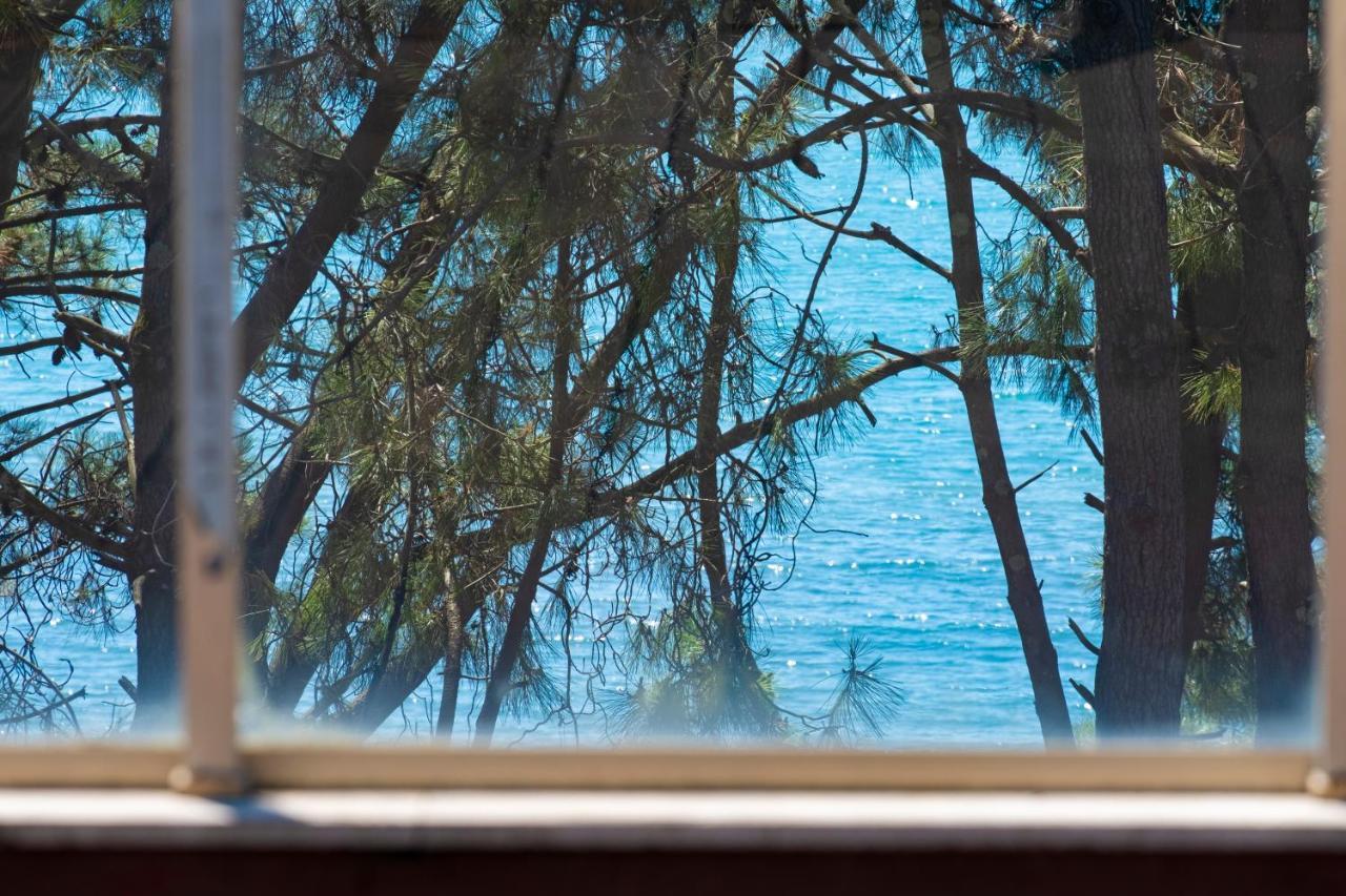 Buxus Hotel Shekvetili Buitenkant foto