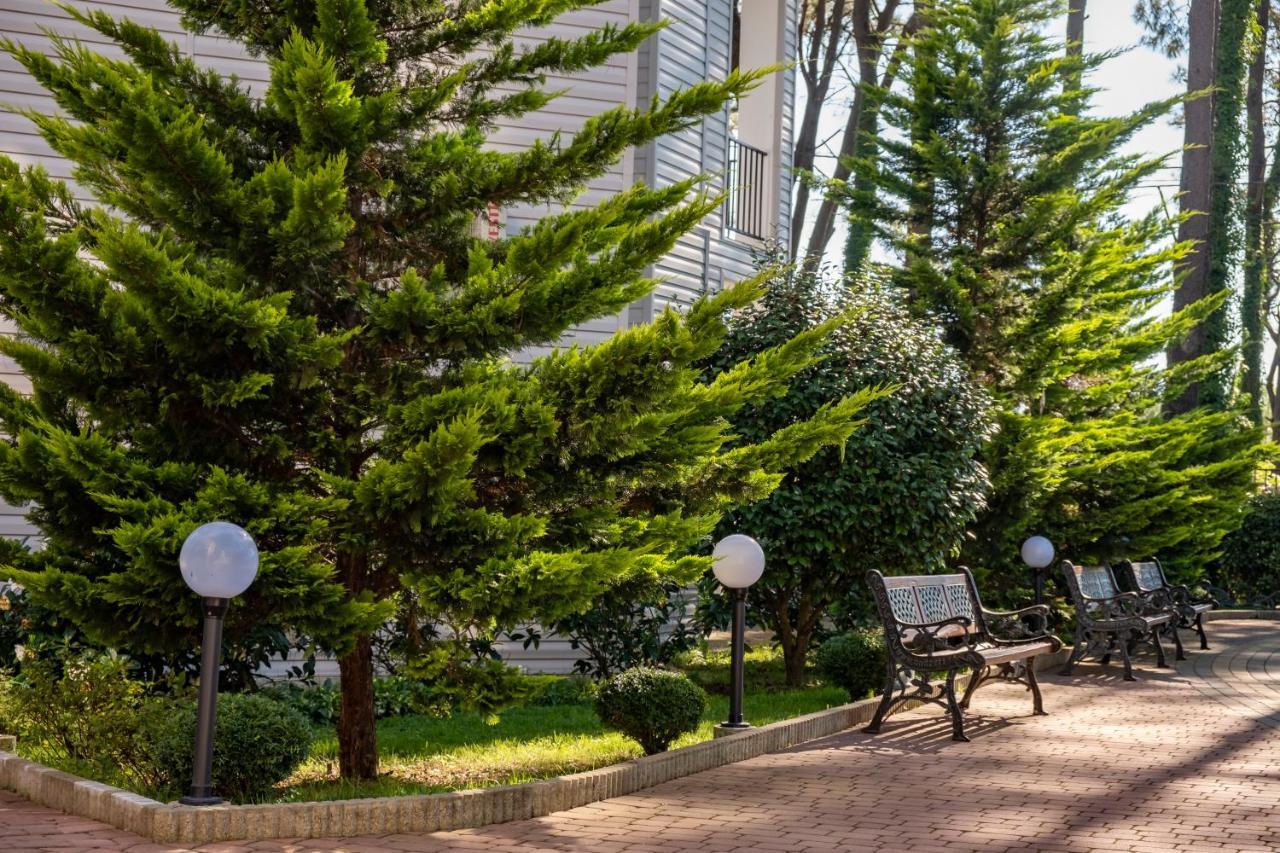 Buxus Hotel Shekvetili Buitenkant foto