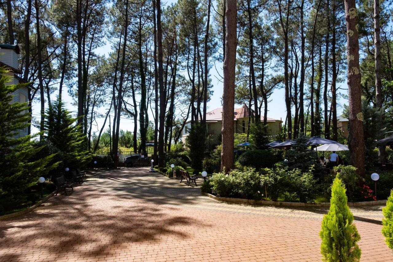 Buxus Hotel Shekvetili Buitenkant foto