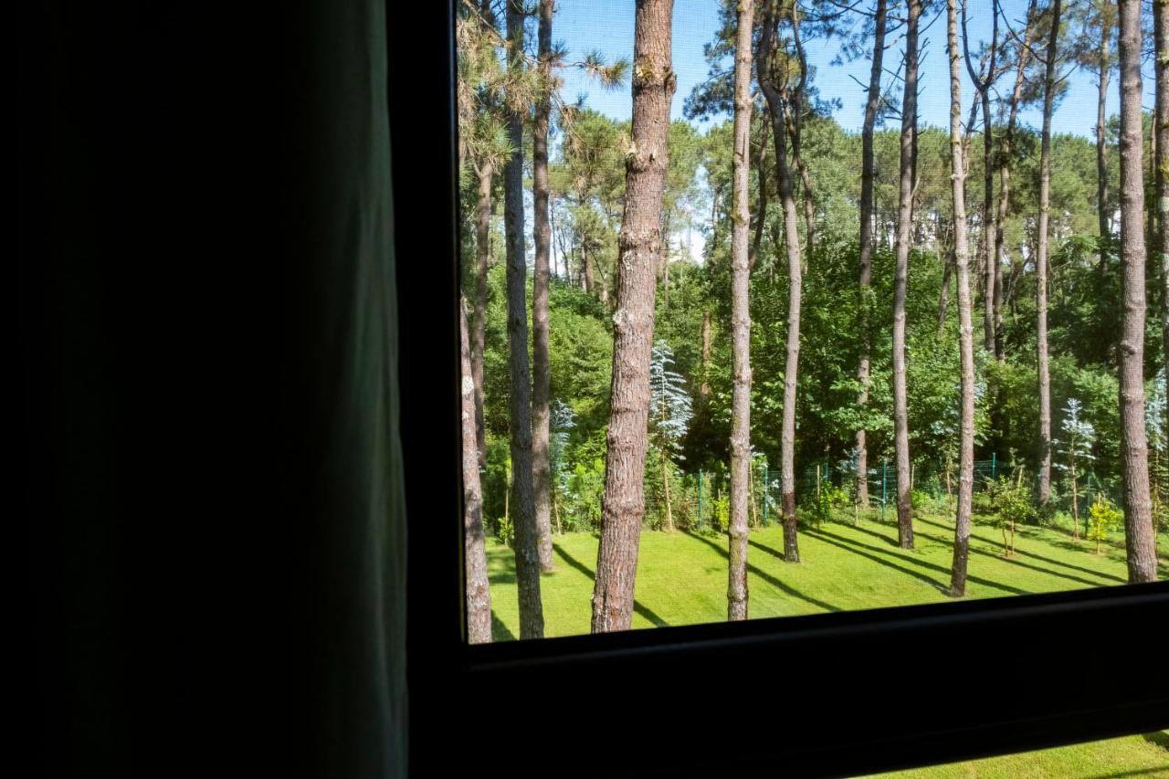 Buxus Hotel Shekvetili Buitenkant foto