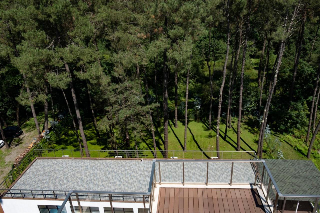 Buxus Hotel Shekvetili Buitenkant foto