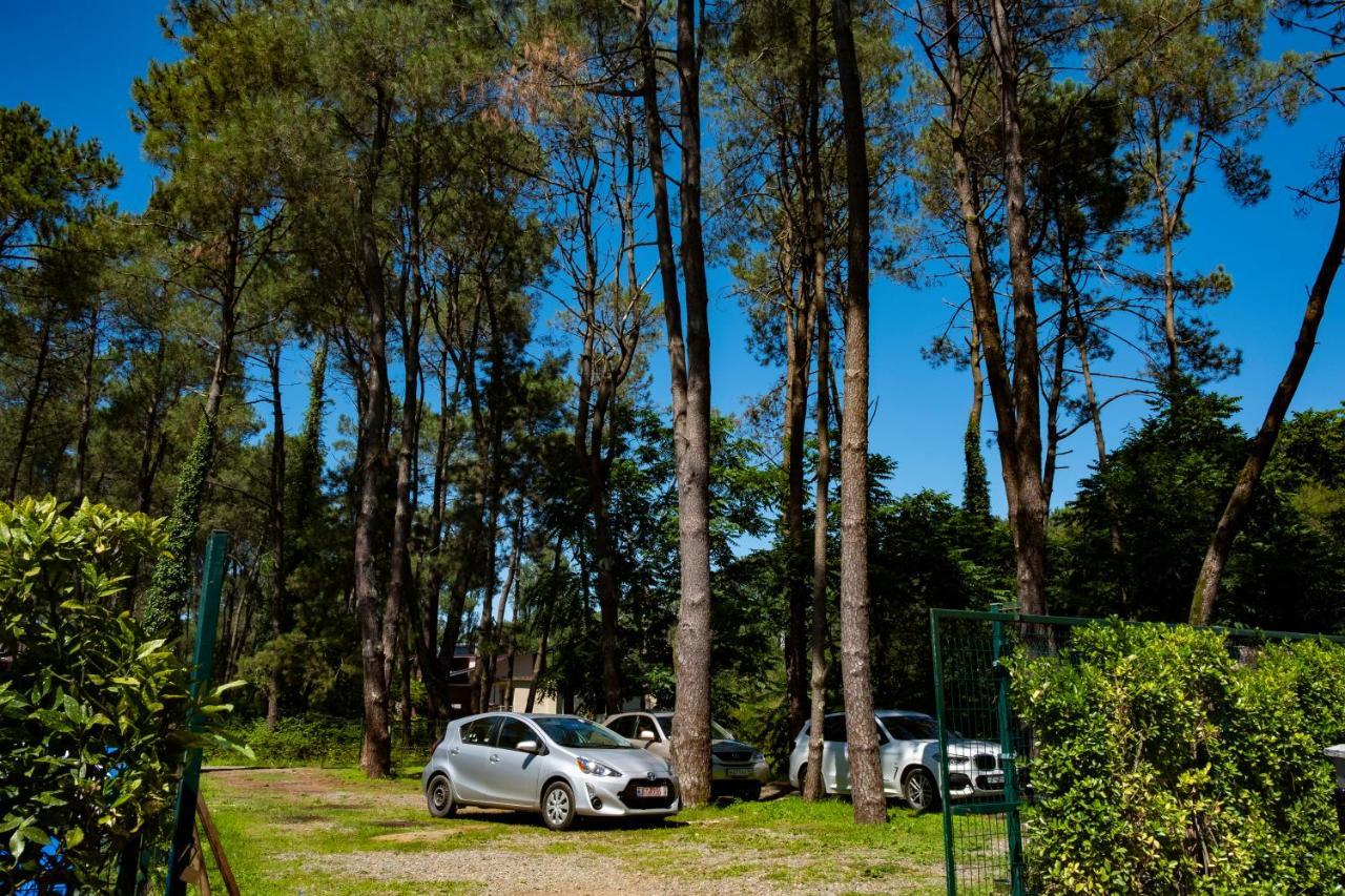 Buxus Hotel Shekvetili Buitenkant foto