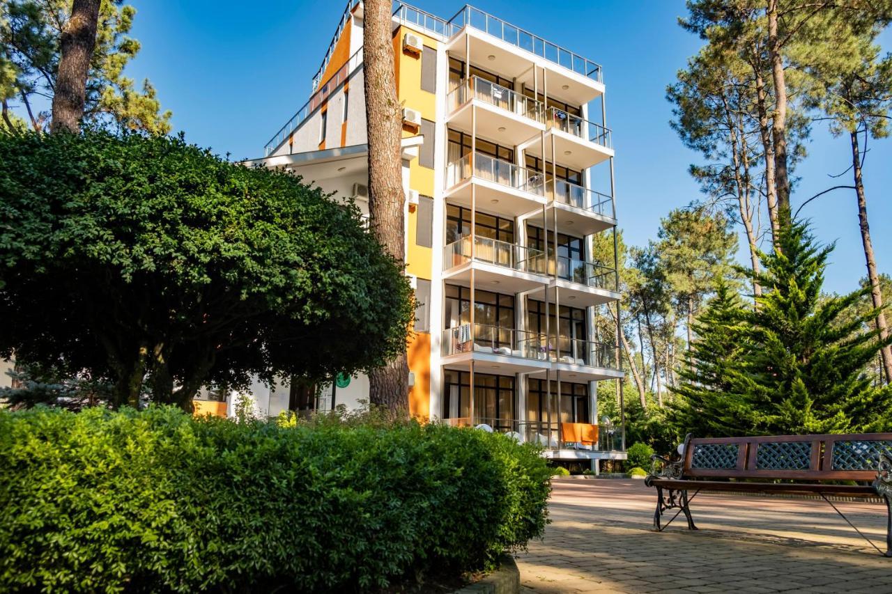 Buxus Hotel Shekvetili Buitenkant foto