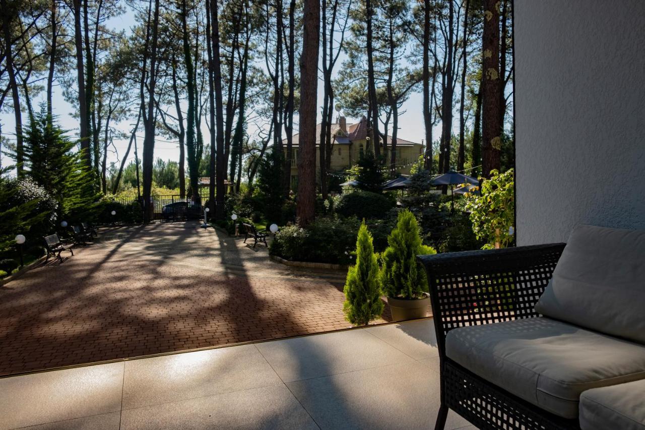 Buxus Hotel Shekvetili Buitenkant foto